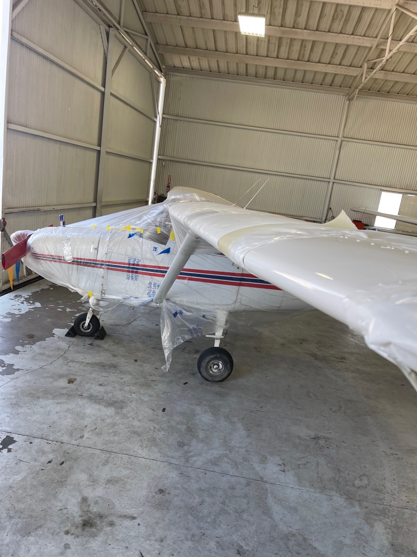 Level 3 — APA Professional